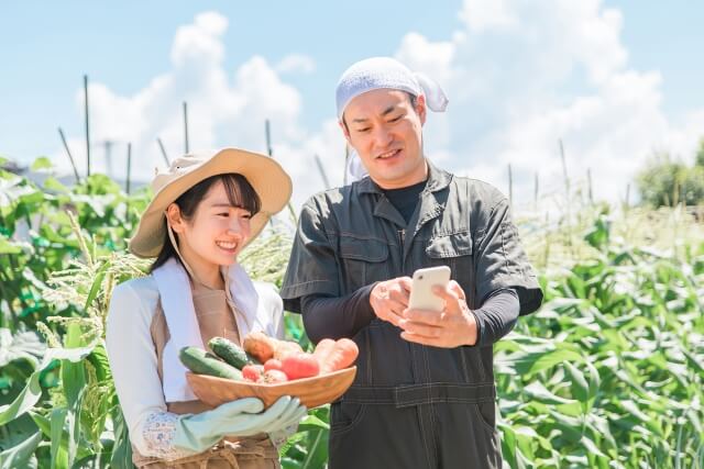 営農支援システムの管理に必要なスキルとは